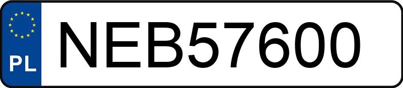 Numer rejestracyjny NEB 57600 posiada ALFA ROMEO STELVIO - NEB57600