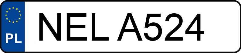 Numer rejestracyjny NEL A524 posiada SKODA OCTAVIA - NELA524