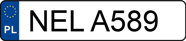 Numer rejestracyjny NEL A589 posiada VOLKSWAGEN PASSAT 1.9D - NELA589