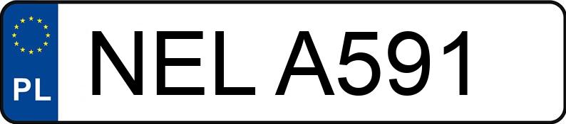 Numer rejestracyjny NEL A591 posiada RENAULT CLIO - NELA591