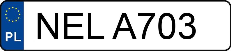 Numer rejestracyjny NEL A703 posiada DAEWOO Tico 0.8 Kat. 800 DX Aut. - NELA703