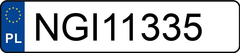 Numer rejestracyjny NGI 11335 posiada VOLKSWAGEN PASSAT - NGI11335