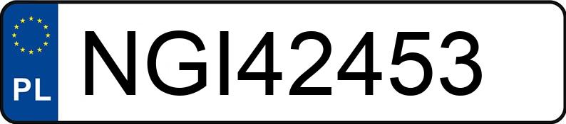 Numer rejestracyjny NGI 42453 posiada VOLKSWAGEN PASSAT - NGI42453