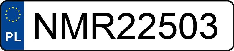 Numer rejestracyjny NMR 22503 posiada PEUGEOT 207 1.6 MR`06 E4 Sporty 110 - NMR22503