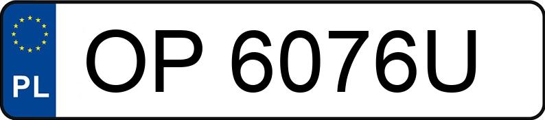 Numer rejestracyjny OP 6076U posiada BMW X1 - OP6076U