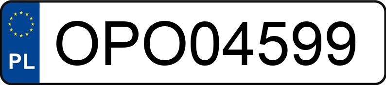 Numer rejestracyjny OPO 04599 posiada FORD FOCUS - OPO04599