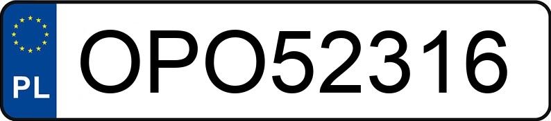 Numer rejestracyjny OPO 52316 posiada OPEL VIVARO-B - OPO52316