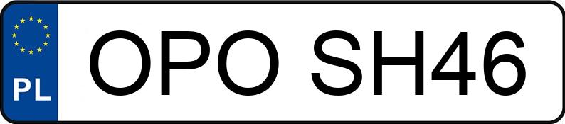 Numer rejestracyjny OPO SH46 posiada OPEL Vivaro 2.0 CDTI MR`07 E4 2.9t L1H1 Aut. - OPOSH46
