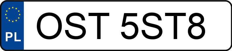 Numer rejestracyjny OST 5ST8 posiada SEAT IBIZA - OST5ST8