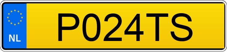 Numer rejestracyjny P024TS posiada PEUGEOT 3008