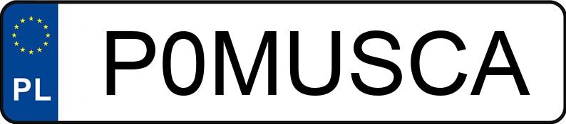 Numer rejestracyjny P0MUSCA posiada DAIMLERCHRYSLER E 280 Numer rejestracyjny P0MUSCA posiada DAIMLERCHRYSLER E 280