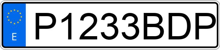 Numer rejestracyjny P1233BDP posiada FORD TOURNEO CONNECT