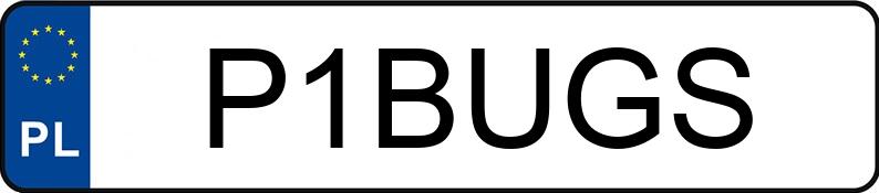 Numer rejestracyjny P1BUGS posiada VOLKSWAGEN GOLF Numer rejestracyjny P1BUGS posiada VOLKSWAGEN GOLF