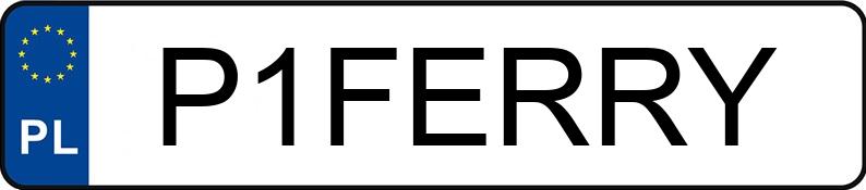 Numer rejestracyjny P1FERRY posiada DAF XG 480 FT F52N3