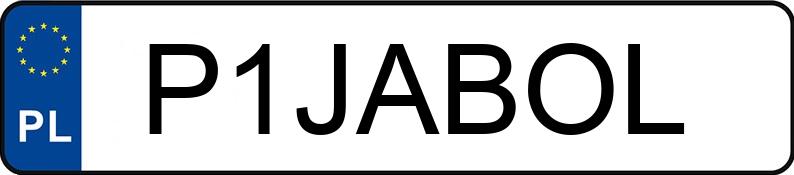 Numer rejestracyjny P1JABOL posiada BMW 316 I Numer rejestracyjny P1JABOL posiada BMW 316 I