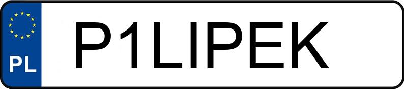 Numer rejestracyjny P1LIPEK posiada DODGE Grand Caravan 3.6 Kat. MR`11 SXT Aut.