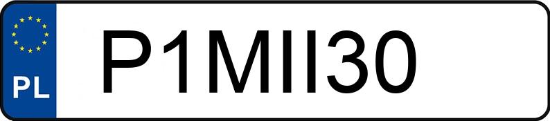 Numer rejestracyjny P1MII30 posiada DAF CF 370 FA/ZSP M4EN3/ZMBW