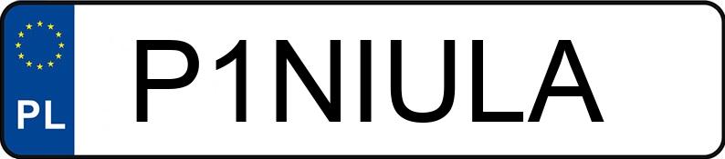 Numer rejestracyjny P1NIULA posiada LEXUS LEXUS NX450H+