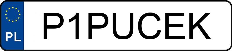 Numer rejestracyjny P1PUCEK posiada BMW 535 Diesel DPF MR`07 E4 E60 Aut.