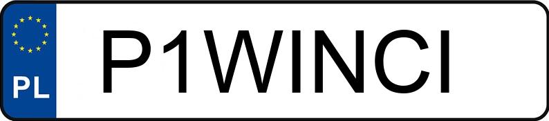 Numer rejestracyjny P1WINCI posiada SEAT IBIZA