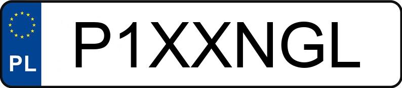 Numer rejestracyjny P1XXNGL posiada MERCEDES-BENZ SPRINTER Numer rejestracyjny P1XXNGL posiada MERCEDES-BENZ SPRINTER