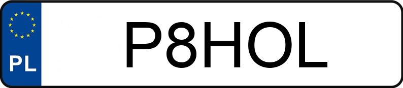 Numer rejestracyjny P8HOL posiada RENAULT 340 Premium Route E2 19.0t HR 340.19