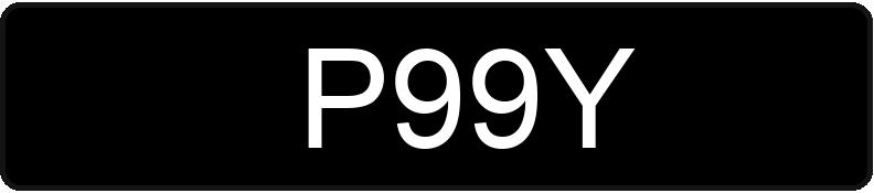 Numer rejestracyjny P99Y posiada WSK MIELEC MIKRUS MR-300