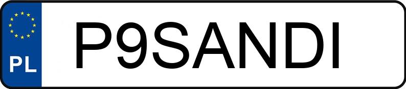 Il numero di registrazione P9SANDI ha BMW X1 1.5 MR`23 E6d U11 sDrive18i Step