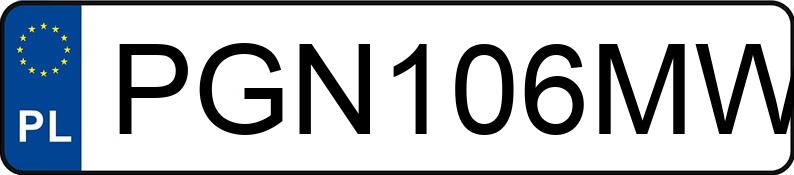 Numer rejestracyjny PGN 106MW posiada SEAT LEON - PGN106MW