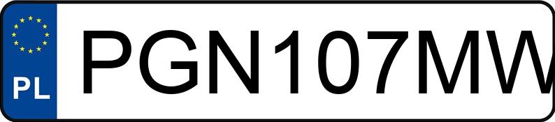 Numer rejestracyjny PGN 107MW posiada VOLKSWAGEN GOLF SPORTSVAN - PGN107MW