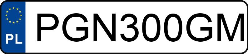 Numer rejestracyjny PGN 300GM posiada DODGE RAM 1500 - PGN300GM Numer rejestracyjny PGN 300GM posiada DODGE RAM 1500 - PGN300GM