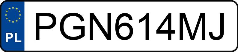Numer rejestracyjny PGN 614MJ posiada VOLKSWAGEN TOURAN - PGN614MJ