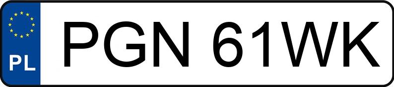 Numer rejestracyjny PGN 61WK posiada SKODA Fabia 1.9 SDI MR`99 Classic - PGN61WK