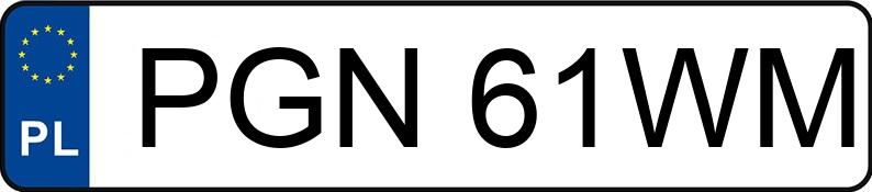 Numer rejestracyjny PGN 61WM posiada FORD Escort 1.8 Diesel MR`93 CLX - PGN61WM