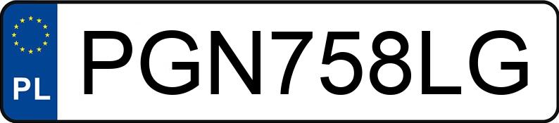 Numer rejestracyjny PGN 758LG posiada FORD FOCUS - PGN758LG