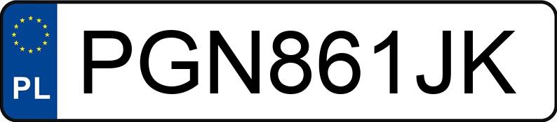 Numer rejestracyjny PGN 861JK posiada RENAULT ESPACE - PGN861JK