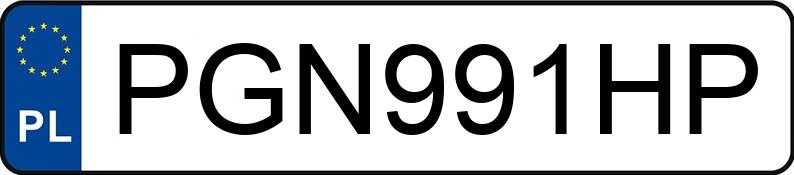 Numer rejestracyjny PGN 991HP posiada SEAT IBIZA - PGN991HP