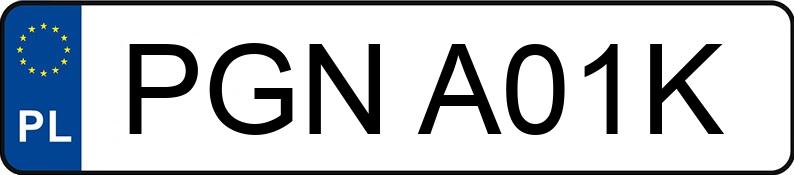 Numer rejestracyjny PGN A01K posiada SIMSON Skutery S 53 - PGNA01K