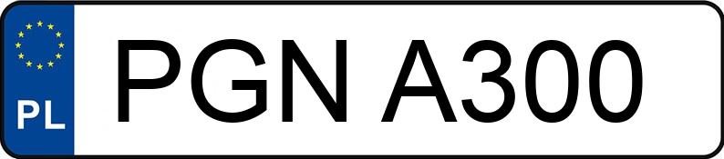 Numer rejestracyjny PGN A300 posiada MERCEDES-BENZ 300 D - PGNA300