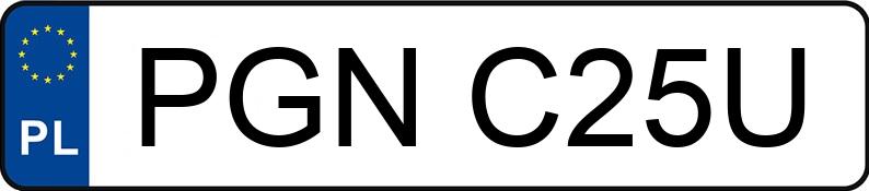 Numer rejestracyjny PGN C25U posiada HONDA Choppery do 600 ccm VT 125 C Shadow - PGNC25U