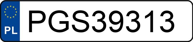 Numer rejestracyjny PGS 39313 posiada PEUGEOT 3008 - PGS39313