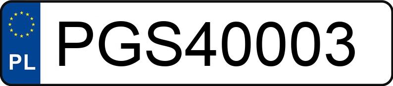 Numer rejestracyjny PGS 40003 posiada AUDI A4 - PGS40003
