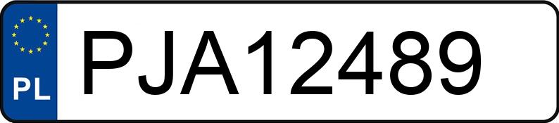 Numer rejestracyjny PJA 12489 posiada NISSAN Micra K12 1.2 MR`02 E3 Visia - PJA12489