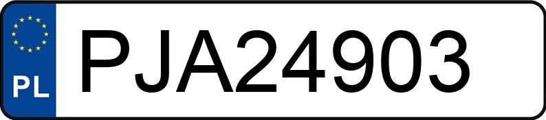 Numer rejestracyjny PJA 24903 posiada BMW 320 Diesel Kat. MR`01 E3 E46 320 Diesel Kat. MR`01 E3 E46 - PJA24903