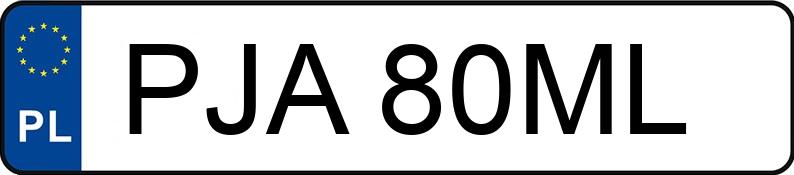 Numer rejestracyjny PJA 80ML posiada MERCEDES-BENZ SPRINTER 313 CDI - PJA80ML