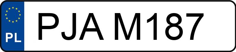 Numer rejestracyjny PJA M187 posiada FIAT  - PJAM187