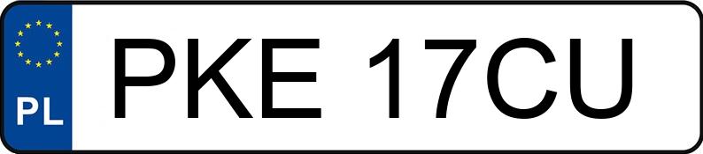 Numer rejestracyjny PKE 17CU posiada SCANIA P 94LB6X2NA260NK - PKE17CU