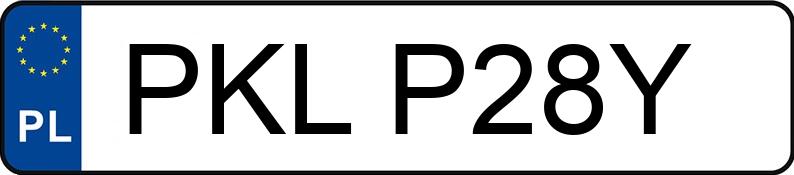 Numer rejestracyjny PKL P28Y posiada E-MIO DESTINA XLS11-FM - PKLP28Y