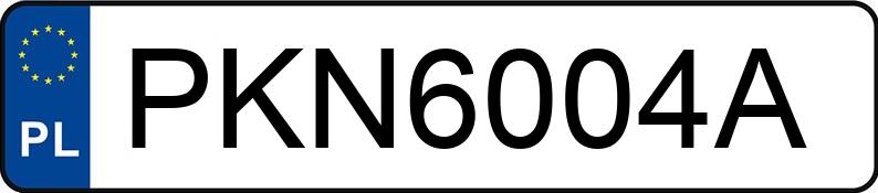 Numer rejestracyjny PKN 6004A posiada JEEP PATRIOT - PKN6004A
