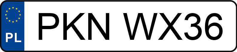 Numer rejestracyjny PKN WX36 posiada GOES TERROX 1000 CF1000ATR-4L - PKNWX36 Numer rejestracyjny PKN WX36 posiada GOES TERROX 1000 CF1000ATR-4L - PKNWX36